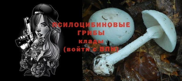 бошки Лиски