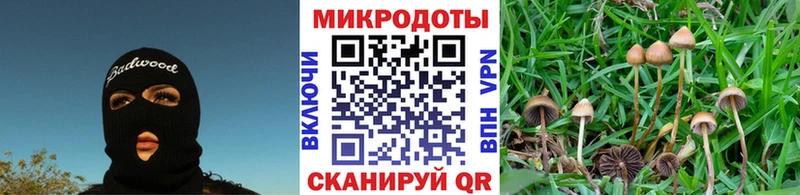 Псилоцибиновые грибы GOLDEN TEACHER  Лесозаводск 